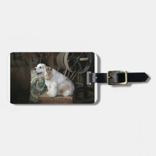 Etiqueta De Bagagem american cocker spaniel sentado