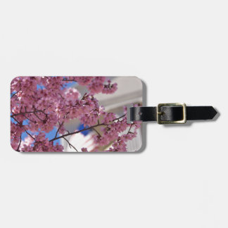 Etiqueta De Bagagem Americana Sakura Cherry Blossoms