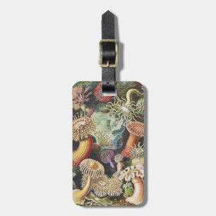 Etiqueta De Bagagem Anêmonas-do-mar de Haeckel Colagem de arte náutica