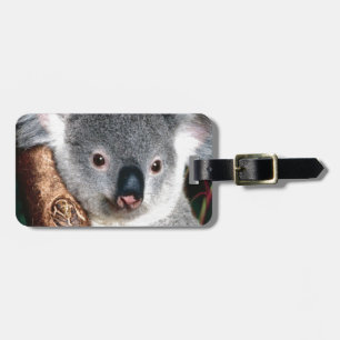 Etiqueta De Bagagem Animal do país do interior de Austrália do urso de