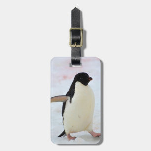 Etiqueta De Bagagem Antártida. Ilha Petermann. Pinguim-de-adélia