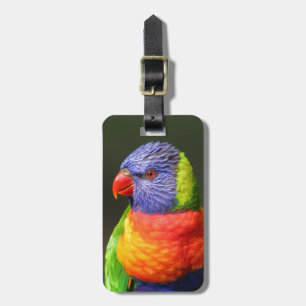 Etiqueta De Bagagem Arco-íris Lorikeet