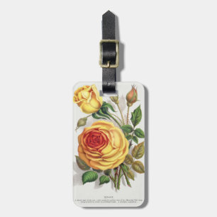 Etiqueta De Bagagem Arte Botânica Vintage Rosa do Pôr do Sol Amarela e