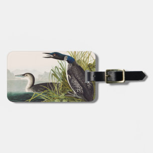 Etiqueta De Bagagem Arte da Natureza do Pato-Mergulhão de Audubon Vint