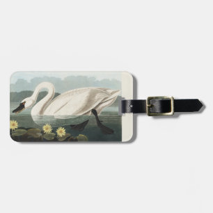 Etiqueta De Bagagem Arte de Lírio de Água Cisne Branco Audubon Vintage