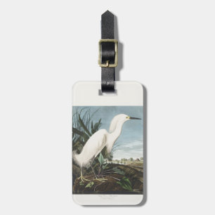 Etiqueta De Bagagem Arte de pássaro Garça Branca Audubon Vintage
