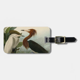 Etiqueta De Bagagem Arte de Pássaro: Gravura do Garça Roxa de Audubon: