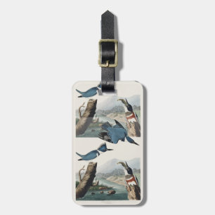Etiqueta De Bagagem Arte de Pássaro Rei-Cintado Audubon Vintage