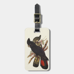 Etiqueta De Bagagem Arte Vintage de Cacatua-preta-de-cauda-vermelha de