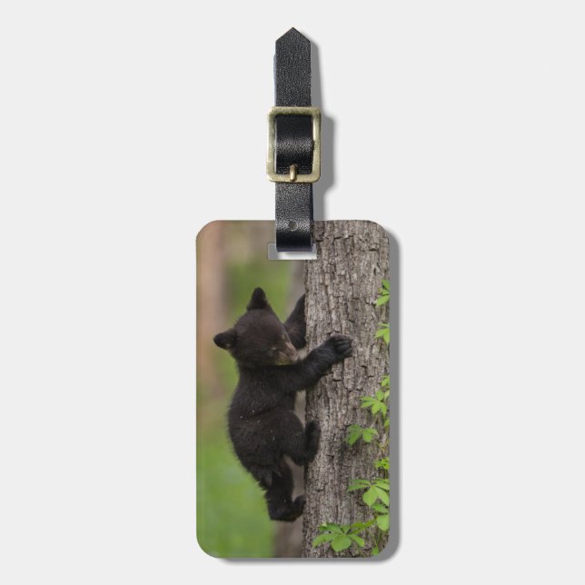 Etiqueta De Bagagem Árvore de Subida do Urso Negro (Frente Vertical)