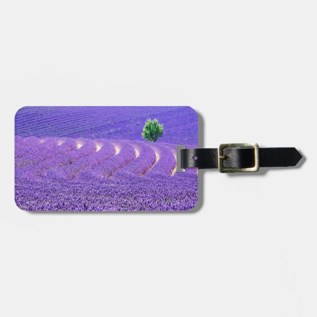 Etiqueta De Bagagem Árvore solitária em Lavanda Field, França (Frente Horizontal)