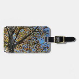 Etiqueta De Bagagem Árvore Sycamore no outono contra um céu azul