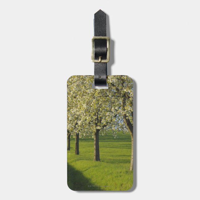 Etiqueta De Bagagem Árvores de cereja (Frente Vertical)