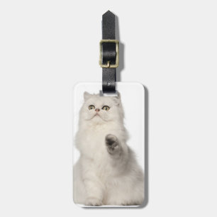 Etiqueta De Bagagem Assento do gato persa