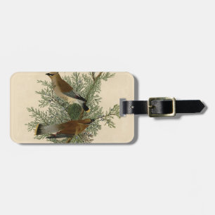 Etiqueta De Bagagem Audubon Cedar Waxwing Bird