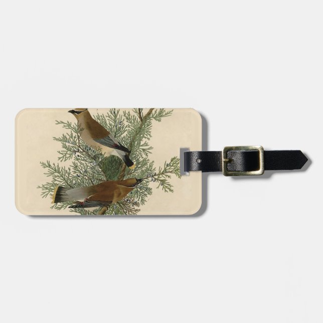 Etiqueta De Bagagem Audubon Cedar Waxwing Bird (Frente Horizontal)