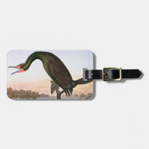 Etiqueta De Bagagem Audubon: Cormorant com crista dobro