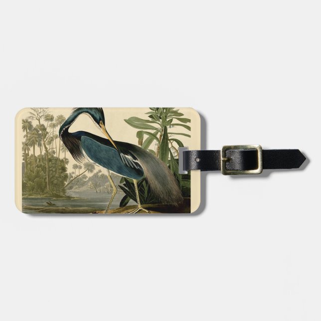 Etiqueta De Bagagem Audubon Louisiana Heron Birds América Art (Frente Horizontal)