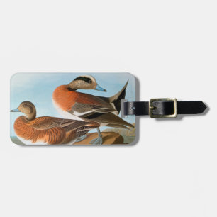 Etiqueta De Bagagem Audubon: Wigeon