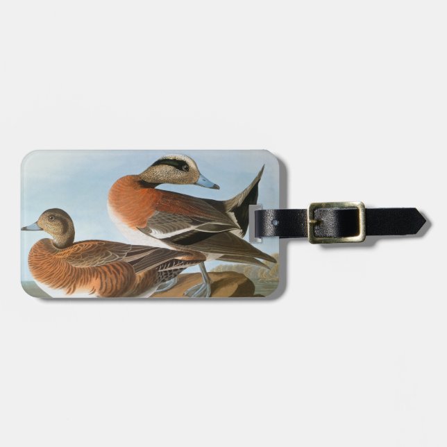 Etiqueta De Bagagem Audubon: Wigeon (Frente Horizontal)