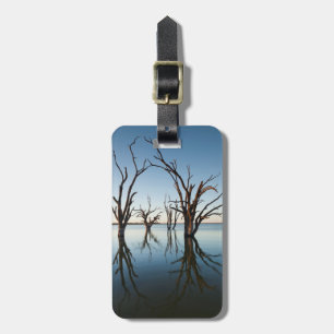 Etiqueta De Bagagem Austrália, Vale do Rio Murray, Barmera, Lago