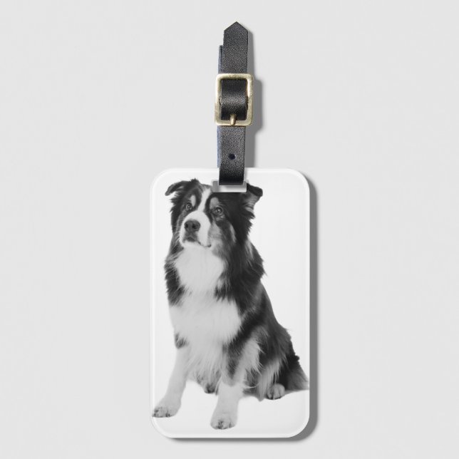 Etiqueta De Bagagem Australian Shepherd (Frente Vertical)