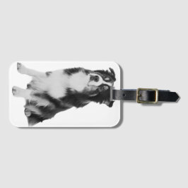 Etiqueta De Bagagem Australian Shepherd