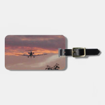 Avião Comercial Aterrissando Ao Pôr do Sol