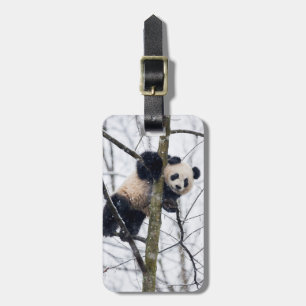 Etiqueta De Bagagem Baby Panda in Tree