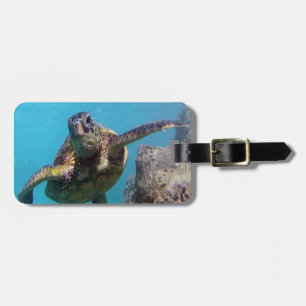 Etiqueta De Bagagem Baía de Hanauma - tartarugas de mar verde de Hava