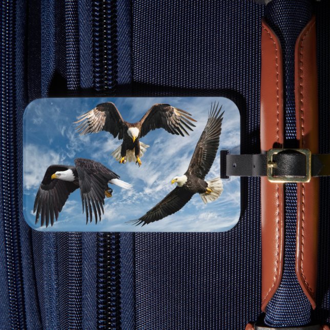 Etiqueta De Bagagem Bald Eagle Soaring (Frente Insitu 4)