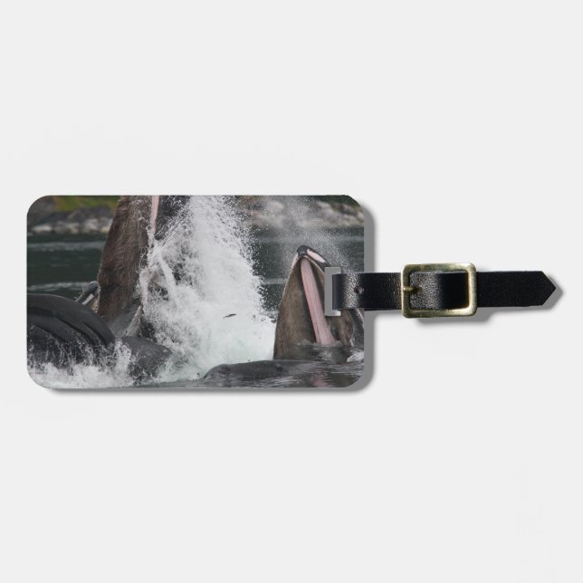 Etiqueta De Bagagem baleias (Frente Horizontal)