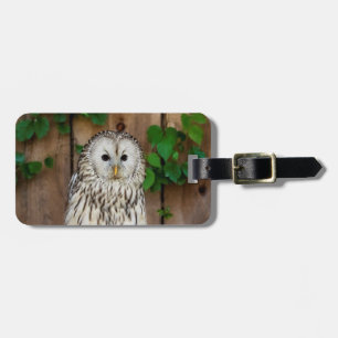 Etiqueta De Bagagem Barred Owl