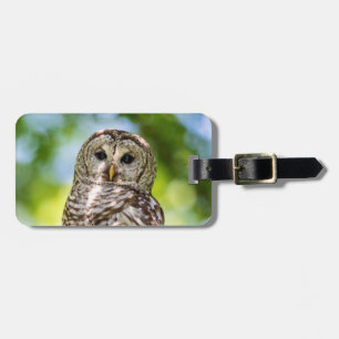 Etiqueta De Bagagem Barred Owl