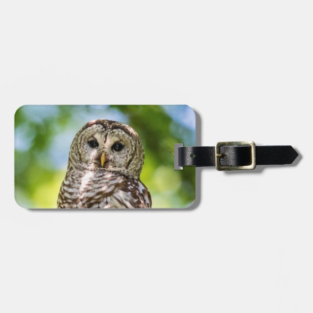 Etiqueta De Bagagem Barred Owl (Frente Horizontal)