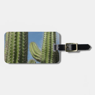 Etiqueta De Bagagem Barrel Cactus I Desert Photo