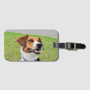 Etiqueta De Bagagem Beagle