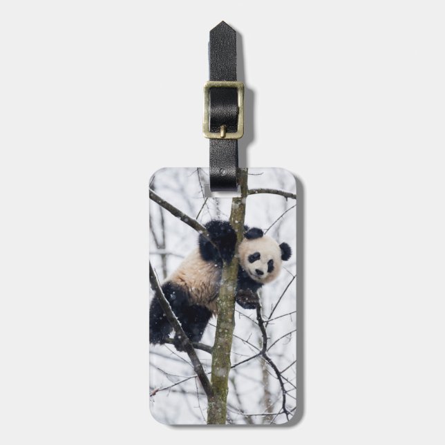 Etiqueta De Bagagem Bebê Panda na Árvore (Frente Vertical)
