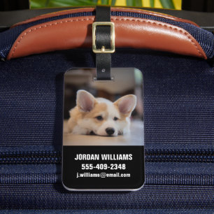 Etiqueta De Bagagem Bebês Mais Pobres   Corgi-Puppy com sono