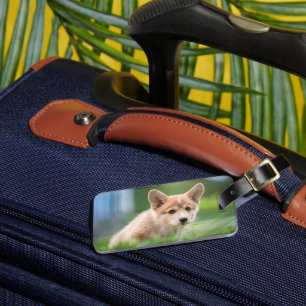 Etiqueta De Bagagem Bebês Mais Pobres   Corgi Puppy no Yard