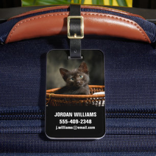 Etiqueta De Bagagem Bebês Mais Pobres   Kitten no cesto