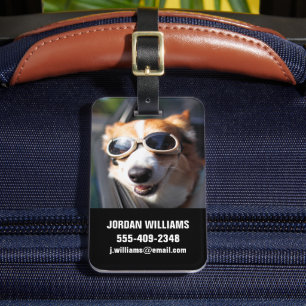 Etiqueta De Bagagem Bebês Mais Pobres Óculos de Corgi no carro