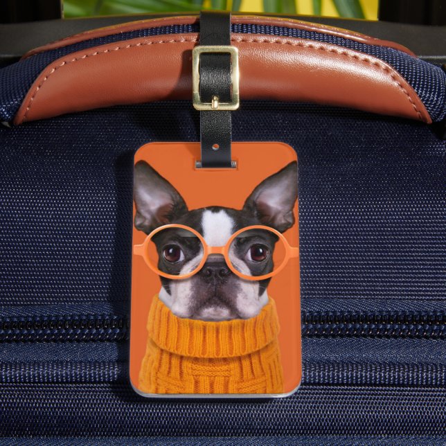 Etiqueta De Bagagem Bebês Mais Pobres | Orange Boston Terrier (Frente Insitu 2)