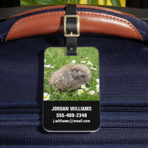 Etiqueta De Bagagem Bebês Mais Pobres   Porco espanhol