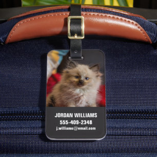 Etiqueta De Bagagem Bebês Mais Pobres Siamese Kitten