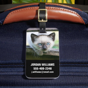 Etiqueta De Bagagem Bebês Mais Pobres   Siamese Kitten 2