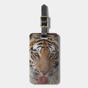 Etiqueta de bagagem Beijos de Tigre