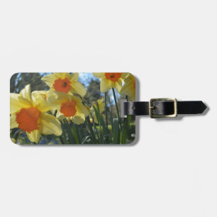 Etiqueta De Bagagem Belas flores amarelas de narciso da primavera lara