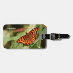 Etiqueta De Bagagem Belo Laranja Satyr Comma Butterfly