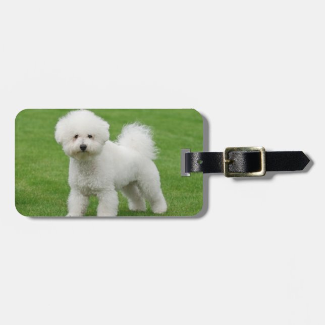 Etiqueta De Bagagem Bichon Frise (Frente Horizontal)